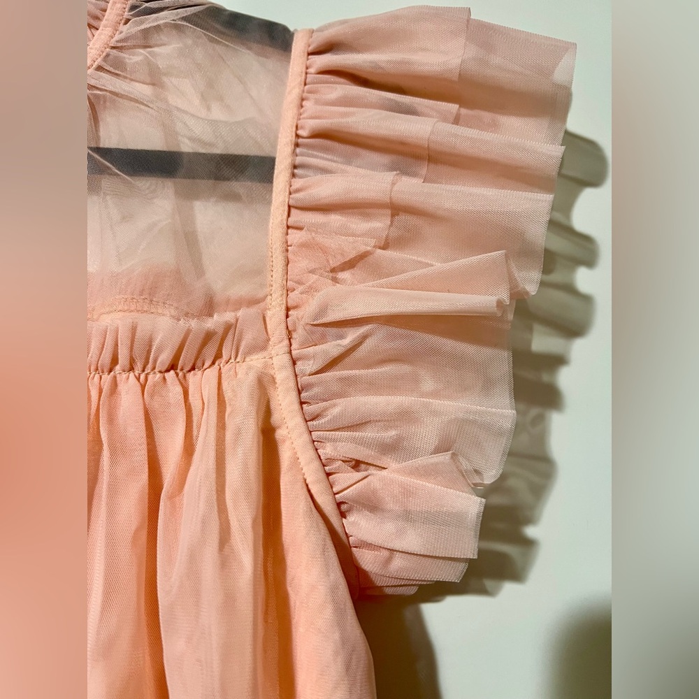 Joie Peach Sheer Ruffle Blouse - Picture 4 of 5
